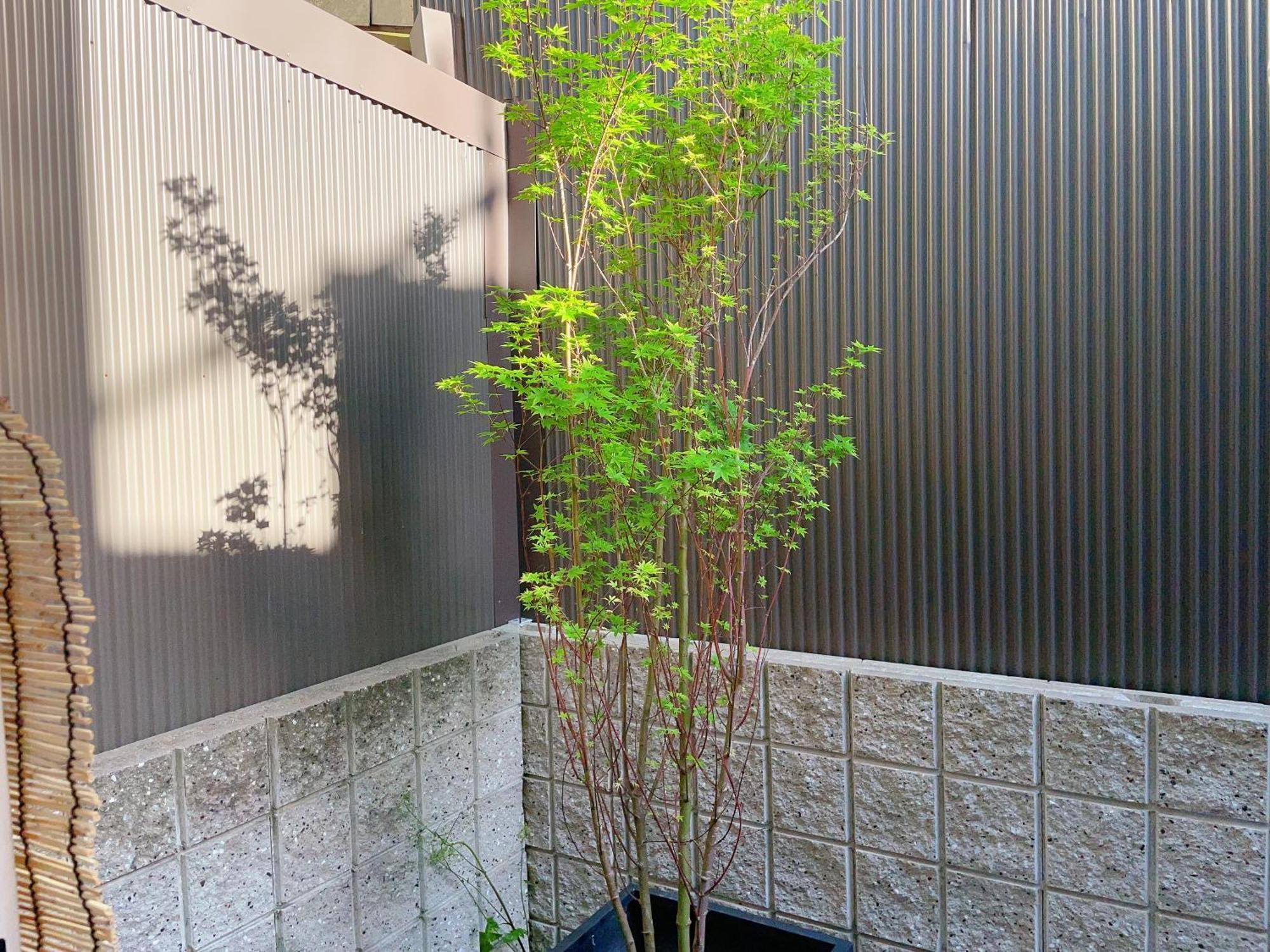 Suikakan Heianjingumae 酔花間 Quioto Exterior foto