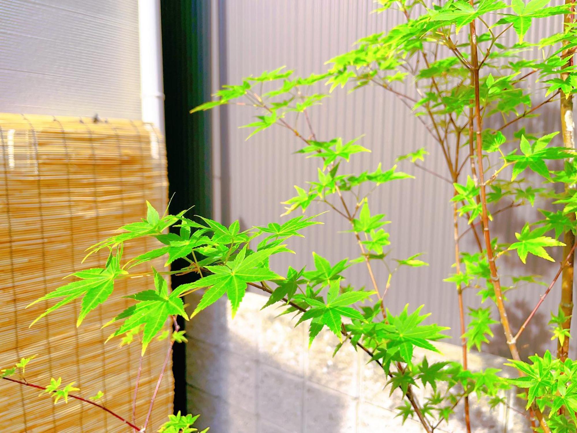 Suikakan Heianjingumae 酔花間 Quioto Exterior foto